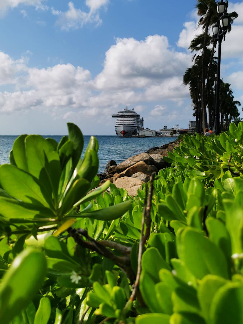 Seychelles Cruise