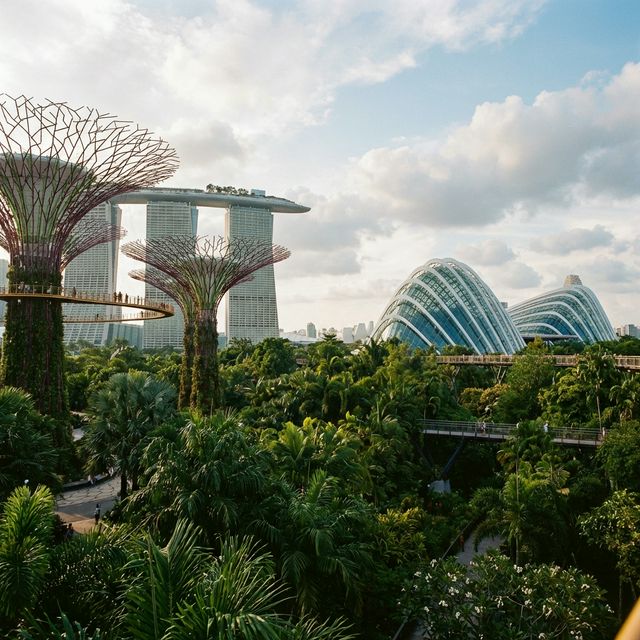 Gardens by the Bay