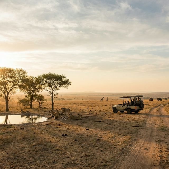 Kruger National Park