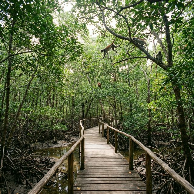 Jozani Forest